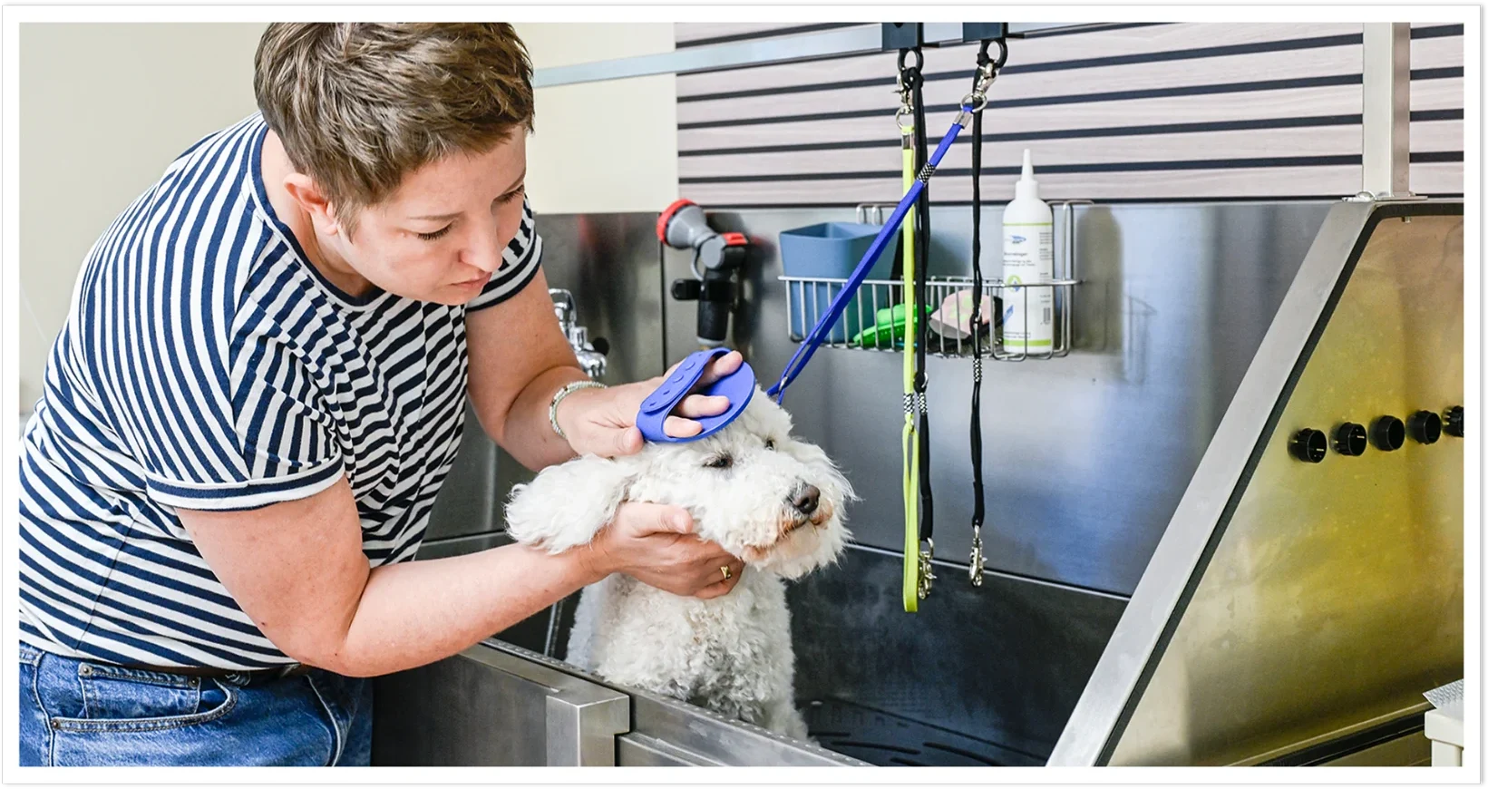 Hund bei der Fellpflege im Bielefell Hundesalon
